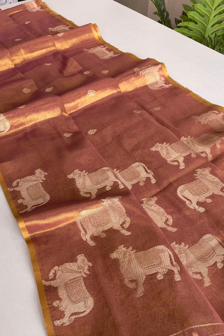 Forever Beautiful Tissue Silk Saree