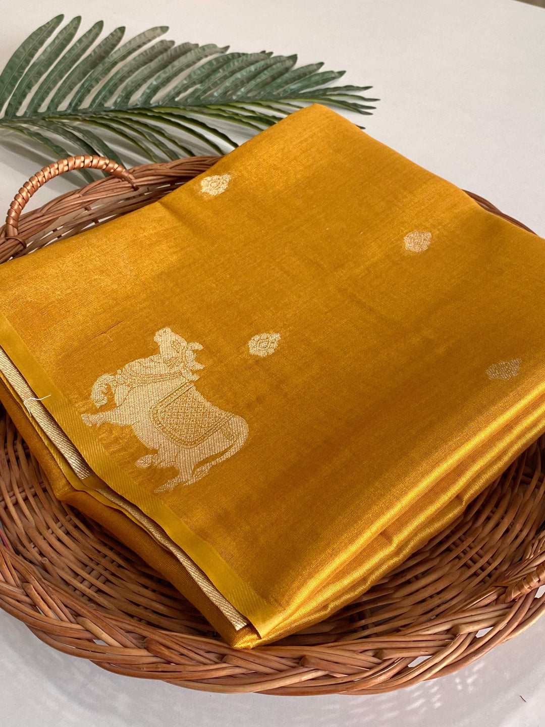 Forever Beautiful Tissue Silk Saree