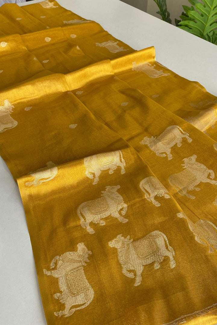 Forever Beautiful Tissue Silk Saree