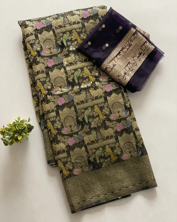 Ritu Rajni Kora Organza Silk Saree