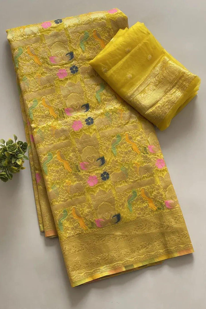 Ritu Rajni Kora Organza Silk Saree