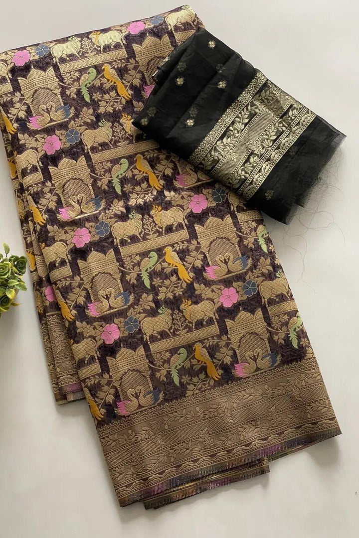 Ritu Rajni Kora Organza Silk Saree
