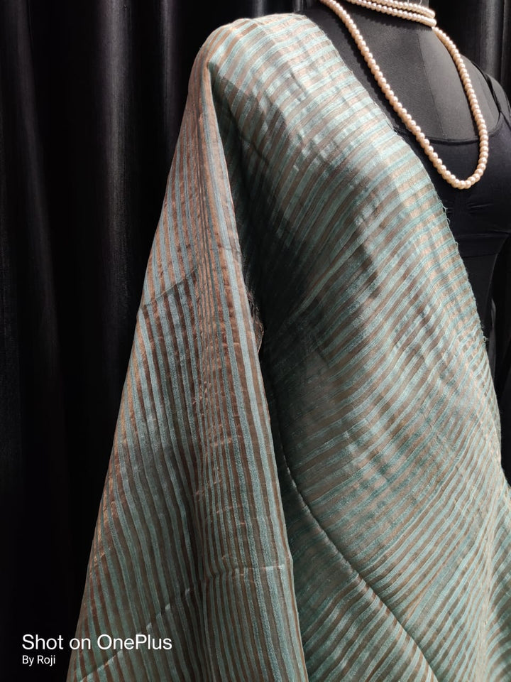Mrigonayoni Matka Silk Saree