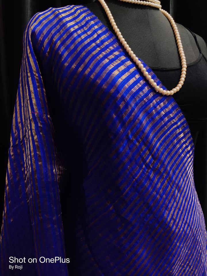 Mrigonayoni Matka Silk Saree