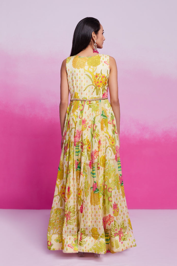 Colour Sway Georgette Gown