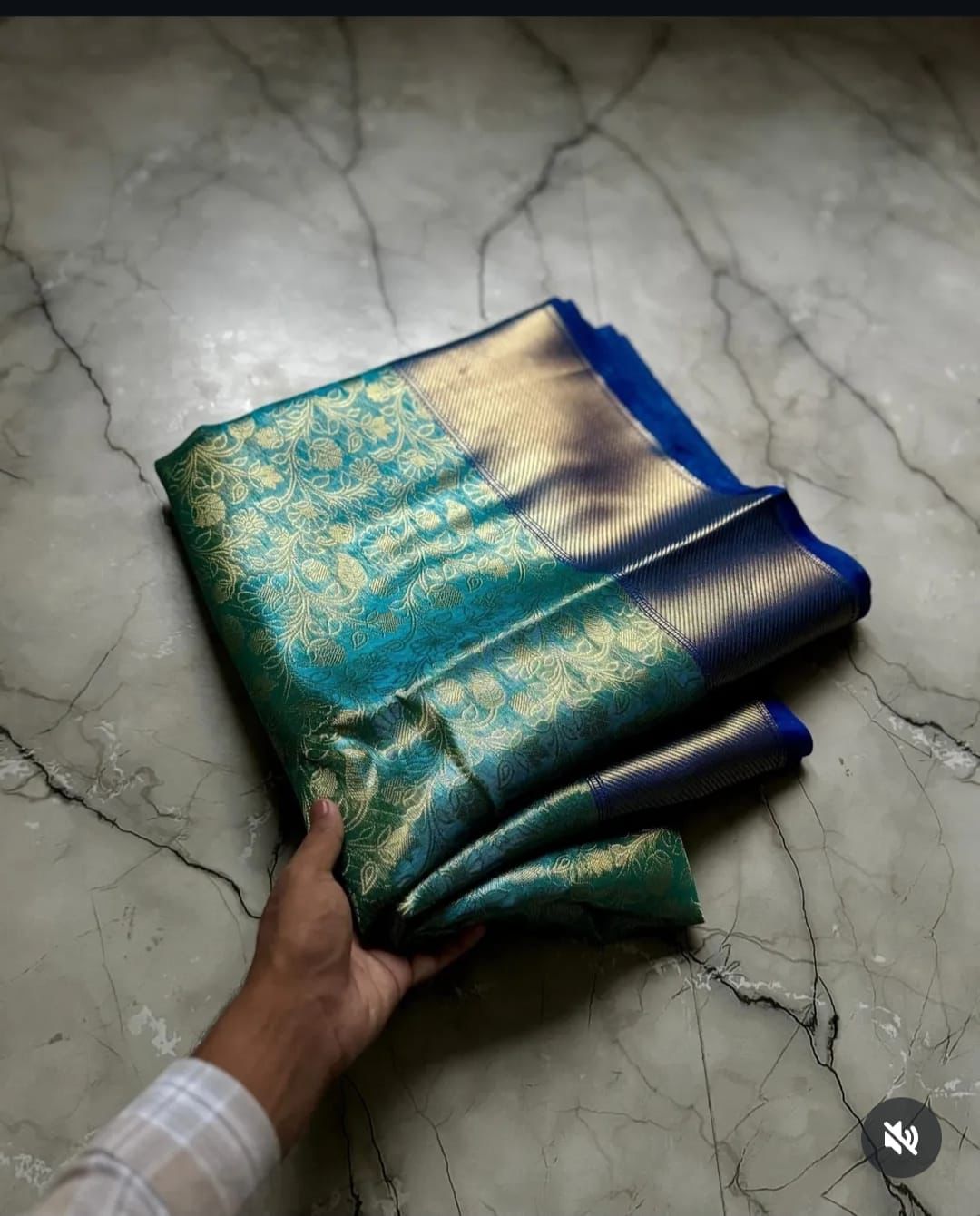 Rudra Rangan Banarasi Tissue Silk Saree
