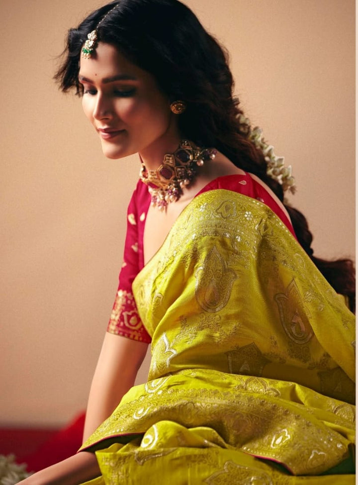 Sutra of Love Fancy Dola Viscous Silk Saree