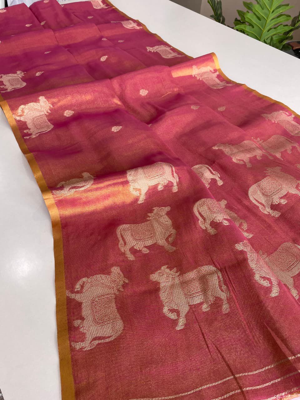 Divine Kamdhenu Tissue Silk Saree