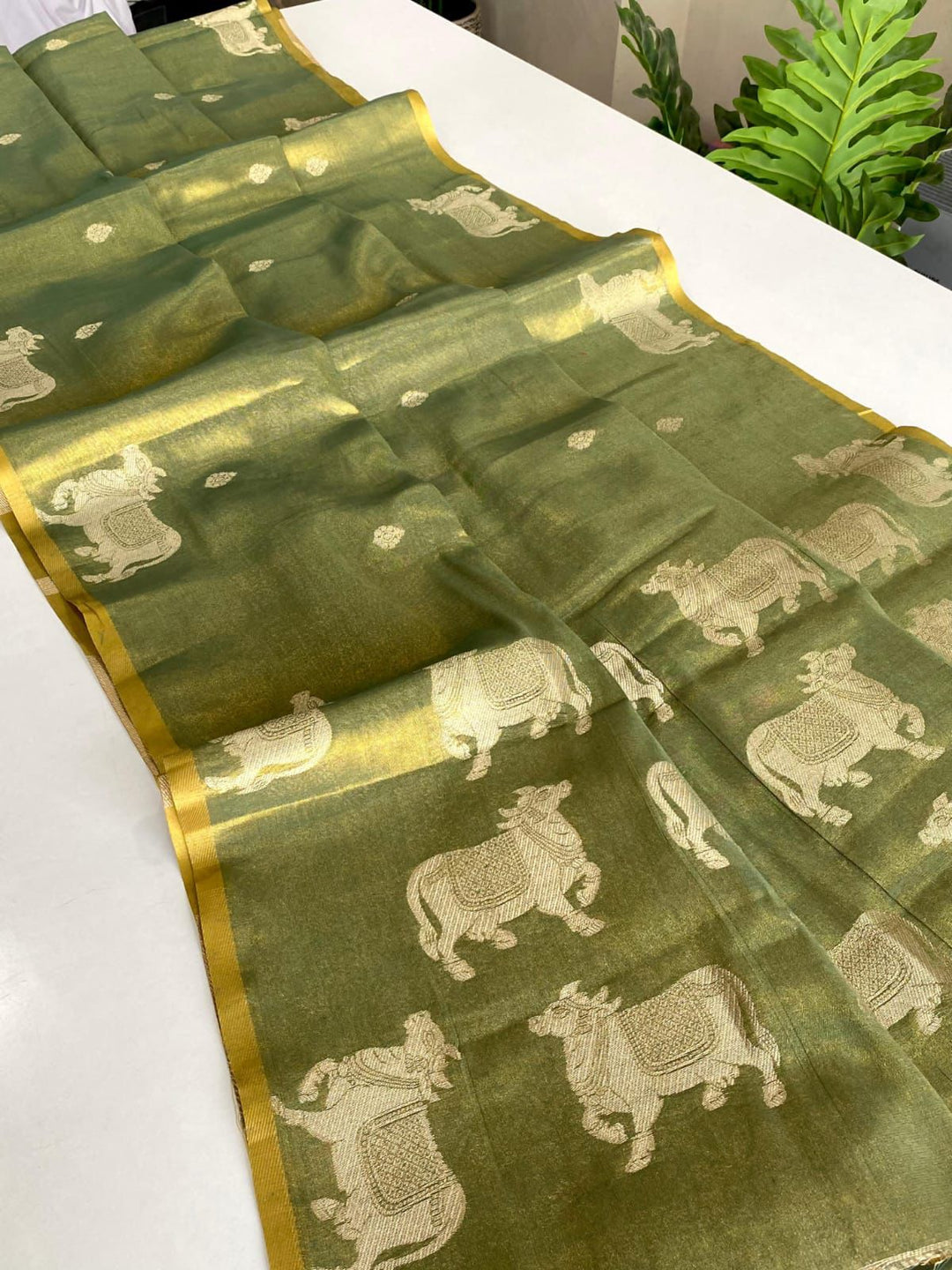 Divine Kamdhenu Tissue Silk Saree