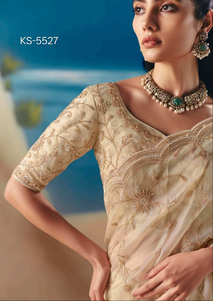 Threads of Fortune Fancy Silk Saree
