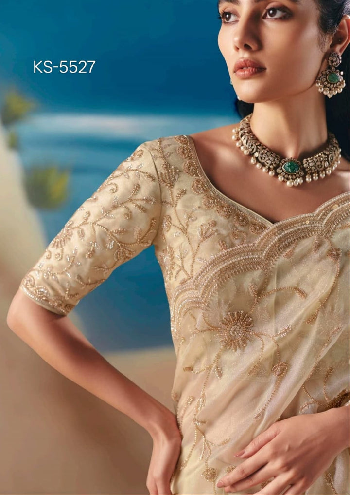 Threads of Fortune Fancy Silk Saree