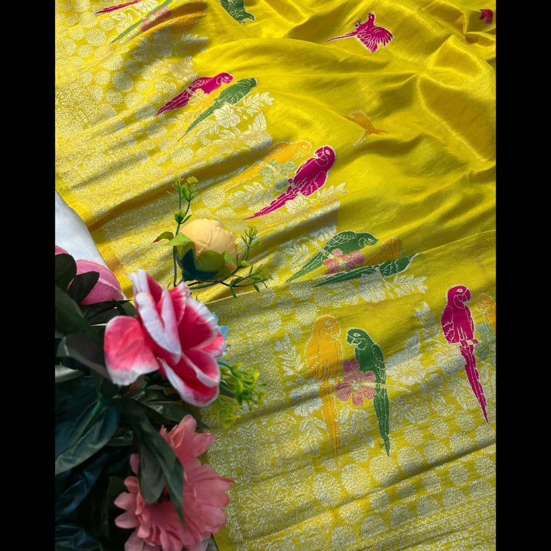 Ray of Grace Tissue Organza Saree