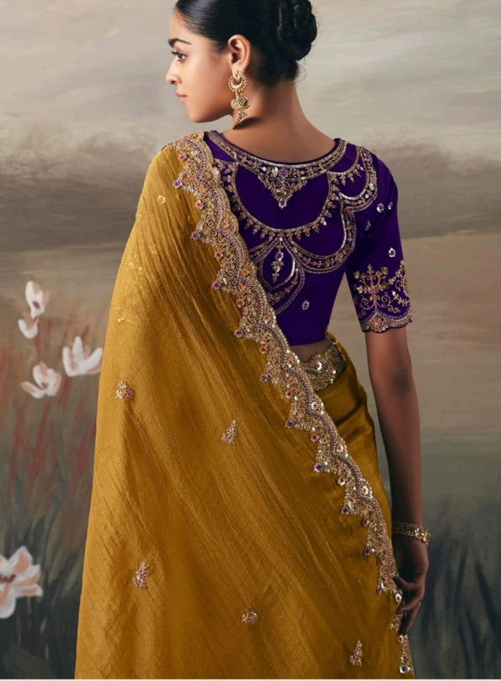 Fairytale in Raindrops Fancy Tissue Silk Saree