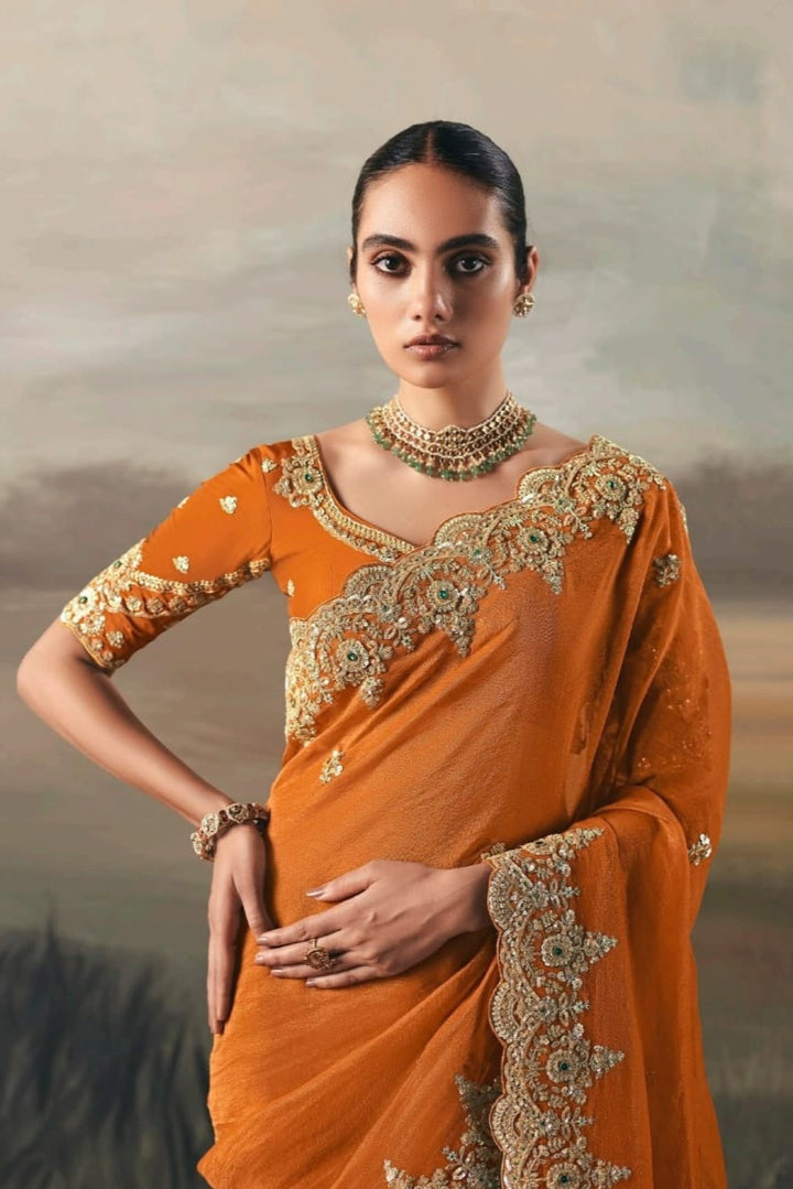 Fairytale in Raindrops Fancy Tissue Silk Saree