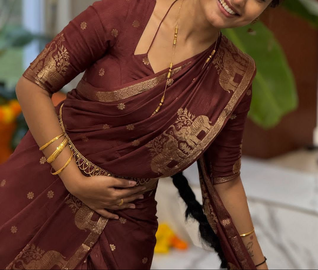 Blossom Drizzle Muslin Silk Saree