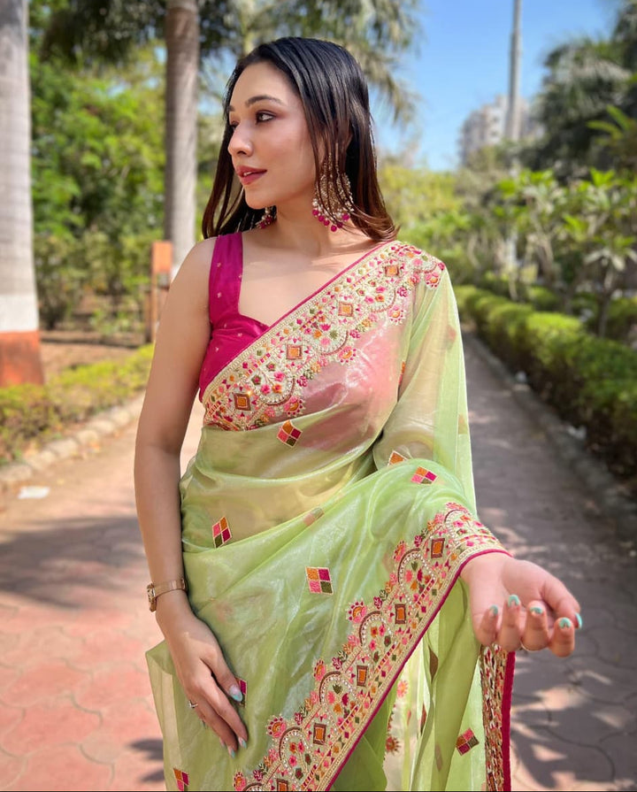 Skylit Serenity Designer Net Saree