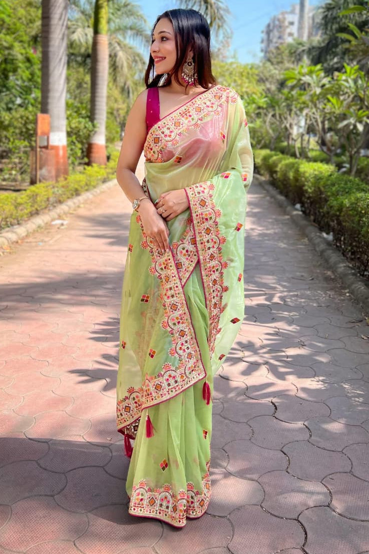 Skylit Serenity Designer Net Saree