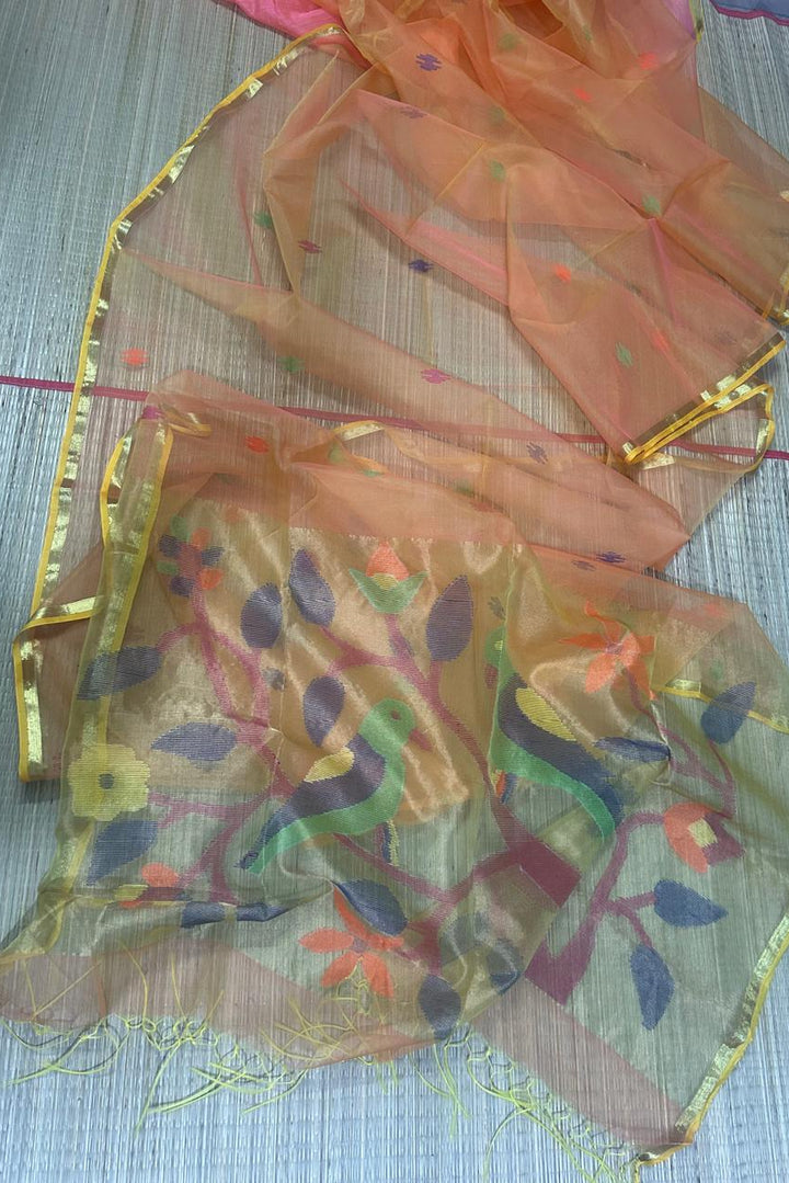 Kahaani Katha Muslin Banarasi Saree