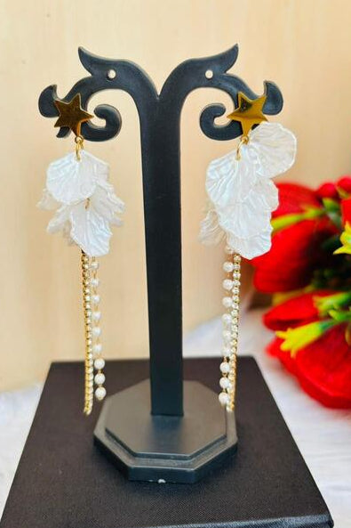 westernized- Fancy Earrings