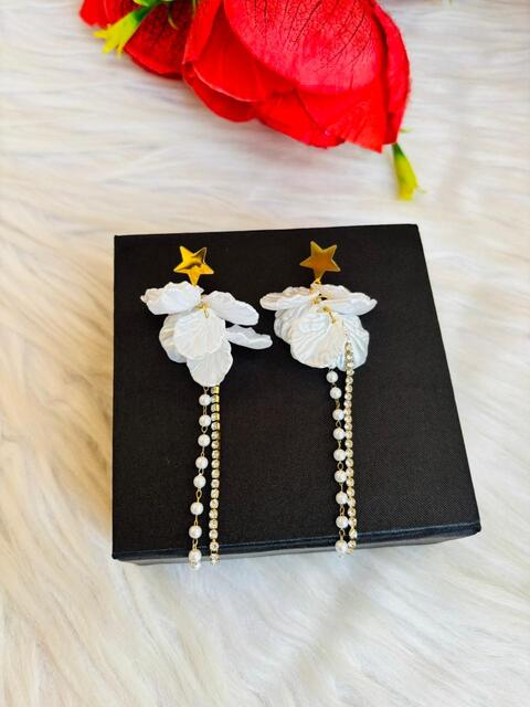 westernized- Fancy Earrings