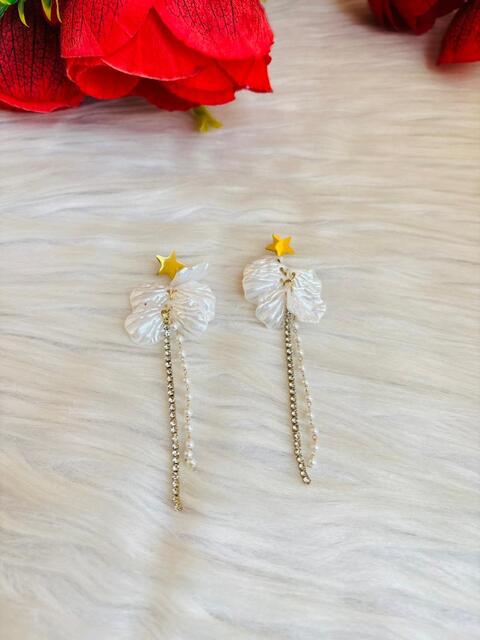 westernized- Fancy Earrings