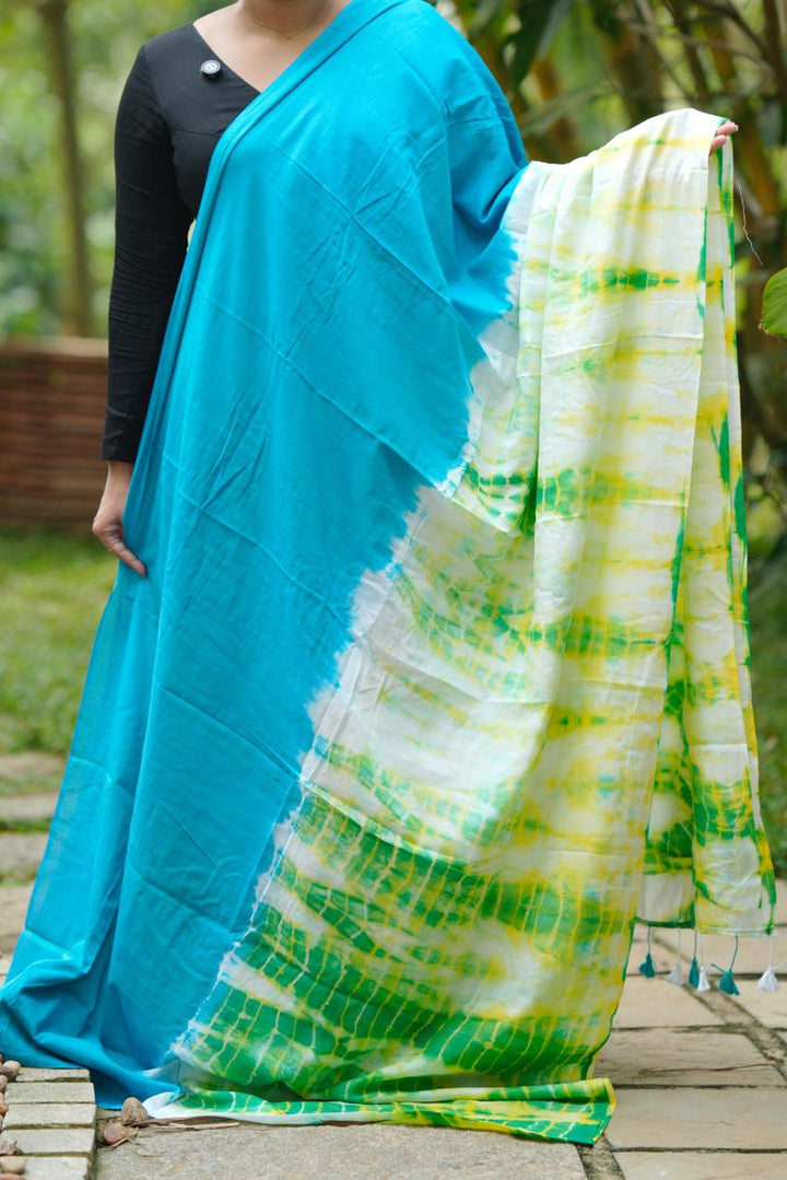 Neer Tulika Mul Cotton Saree
