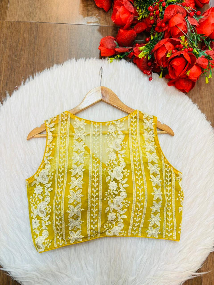 Delicate Threads Designer Net Blouse