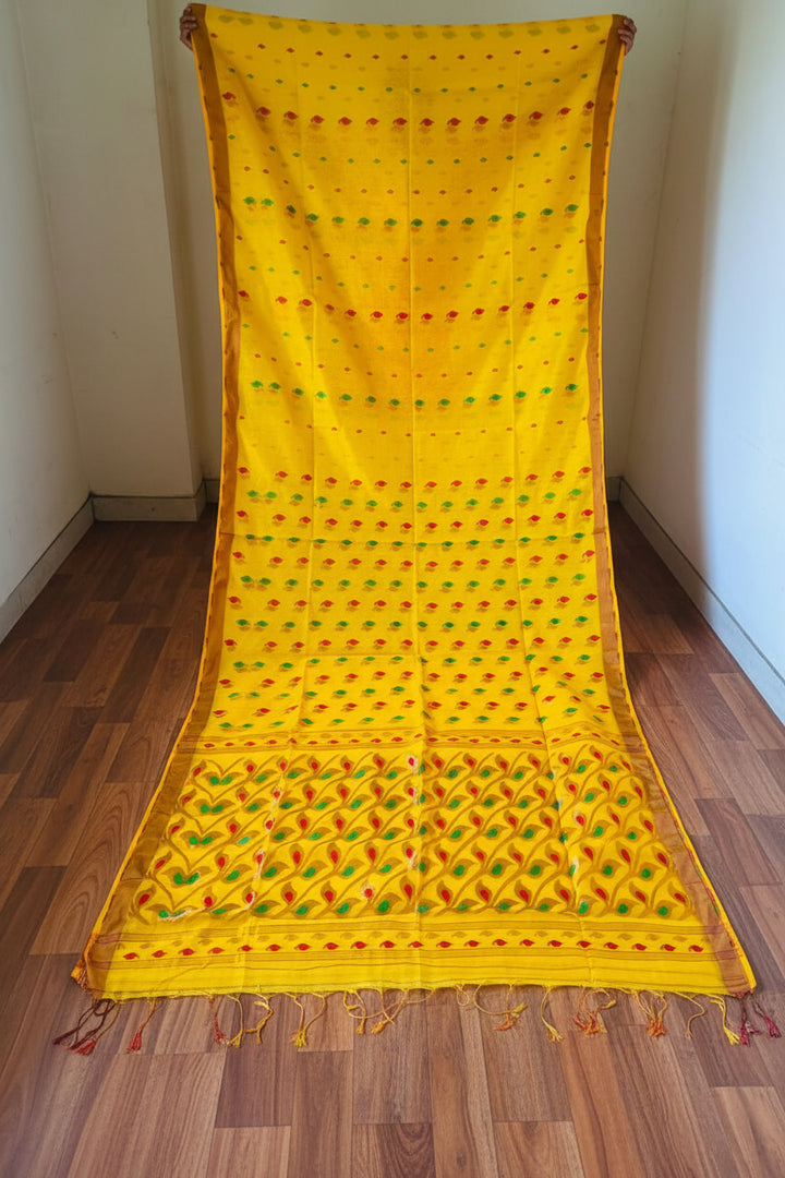 Rajrangi (রাজরঙ্গী) Khadi  Banarasi  Saree