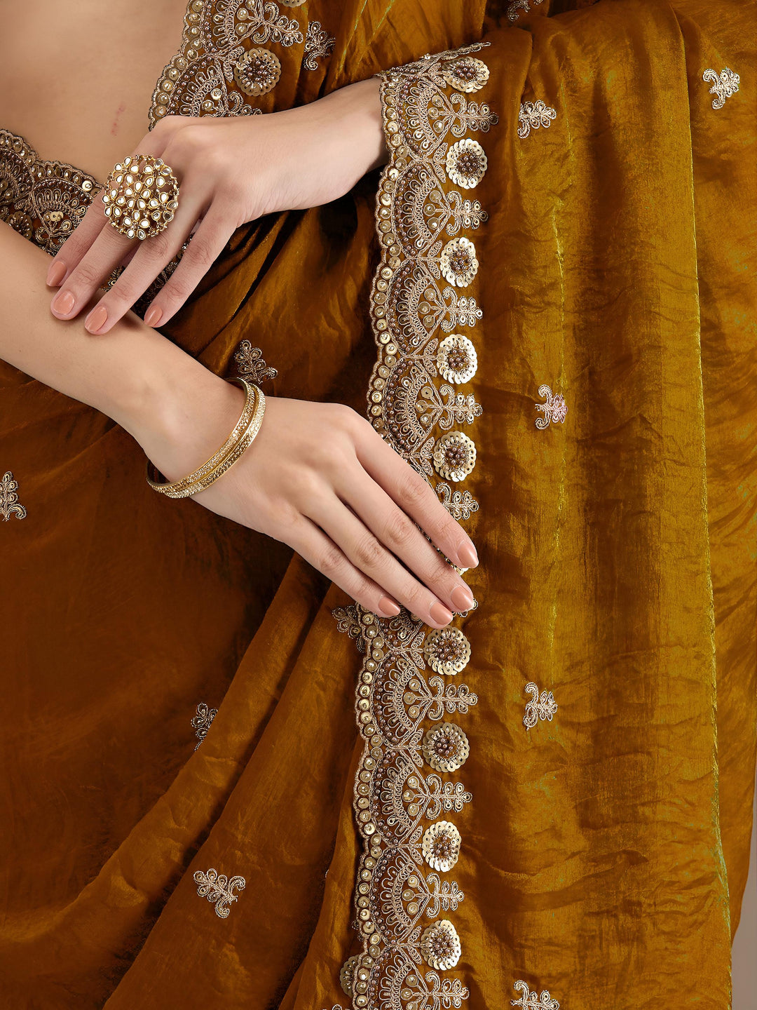 Draped in Dreams Tissue Silk Saree
