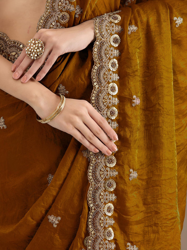 Draped in Dreams Tissue Silk Saree