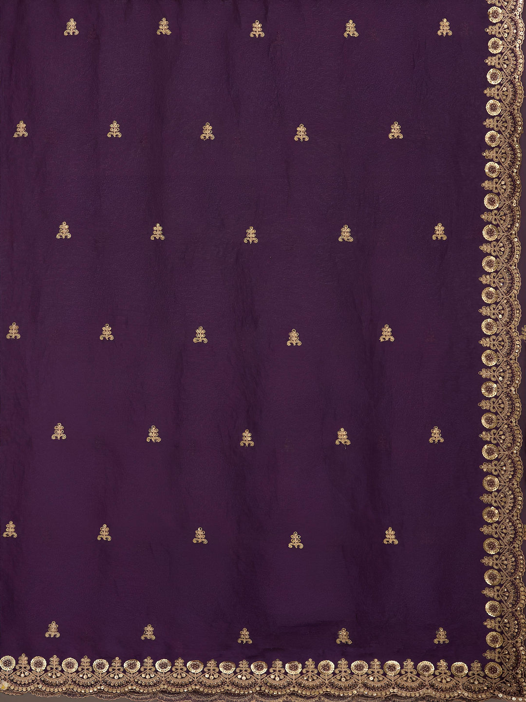 Draped in Dreams Tissue Silk Saree