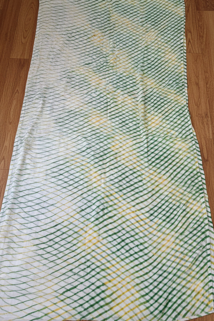 Natures Rhythm Chiffon Saree
