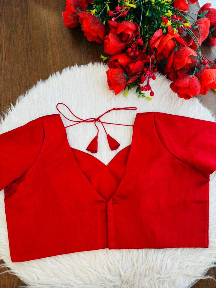 A Touch of Elegance Designer Blouse