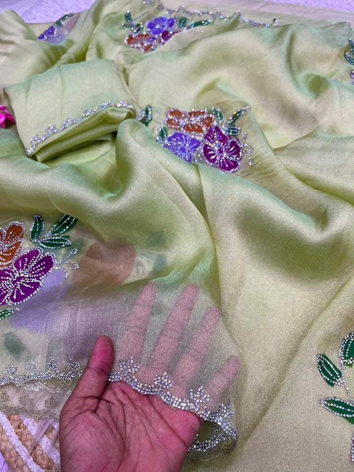 Mehergul Jarkan Issue Silk Saree