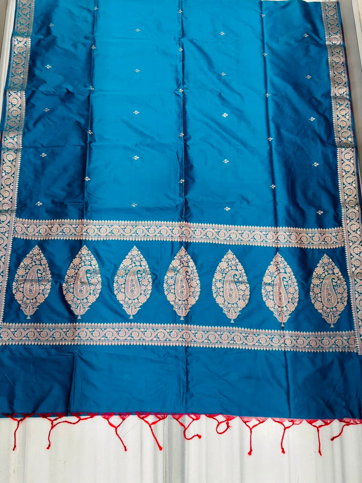Maharani Moment - Muga Katan Silk Saree