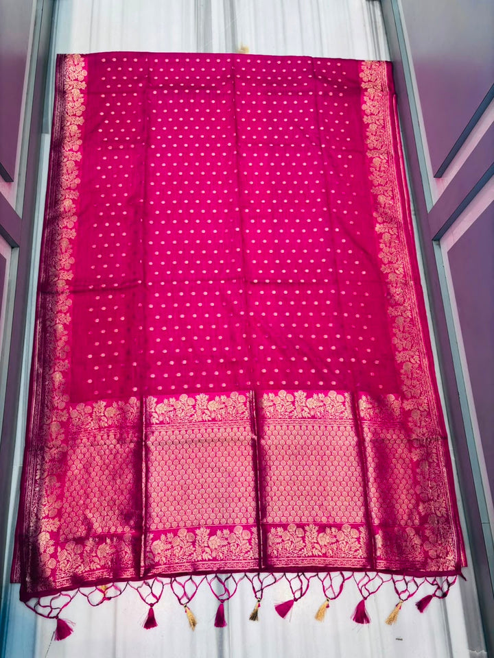 A Journey Called Dreams- Banarasi Semi Katan Silk Saree