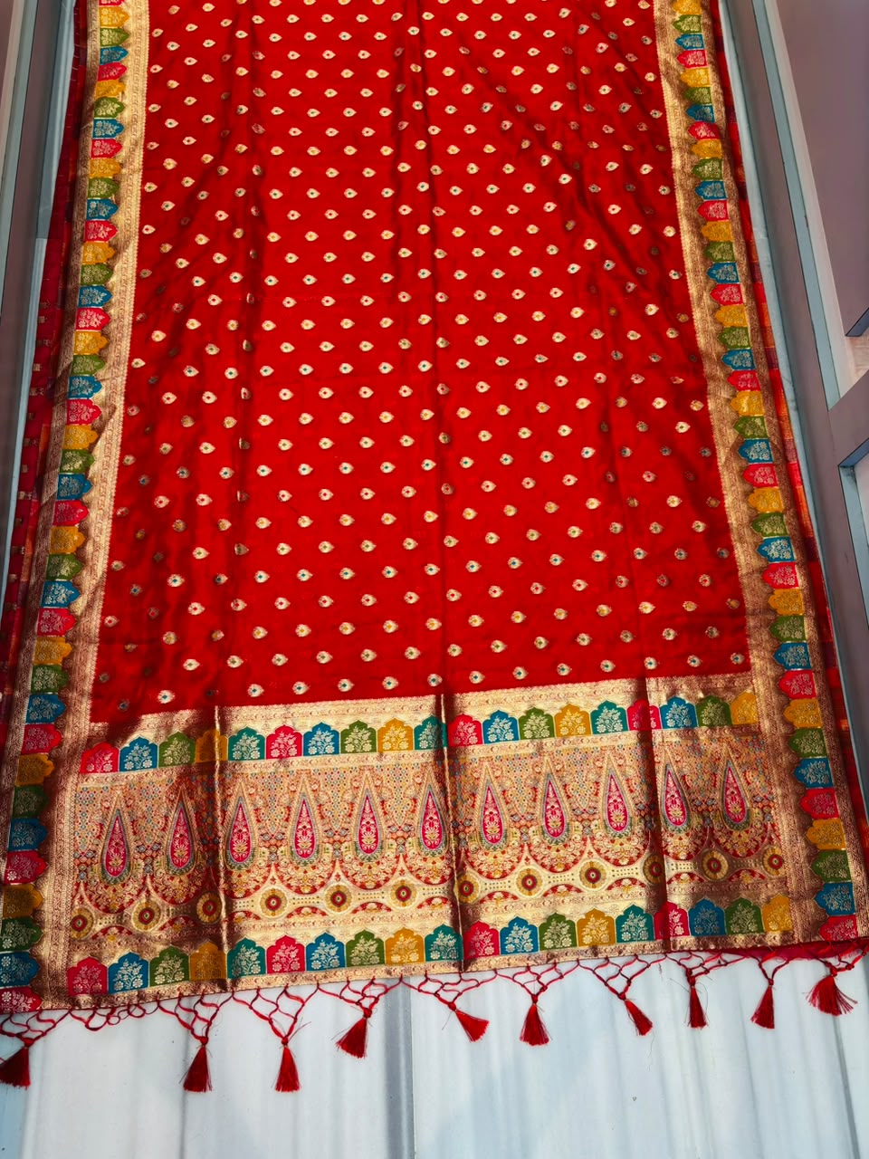Heartbeat Before Forever-Organza Meenakari Designer Saree