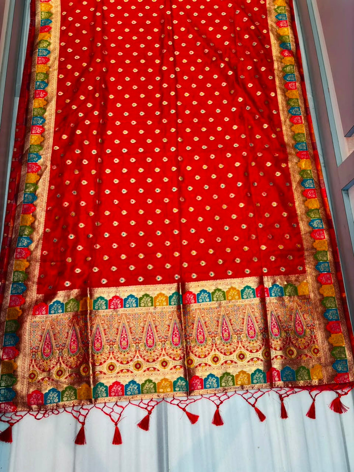 Heartbeat Before Forever-Organza Meenakari Designer Saree
