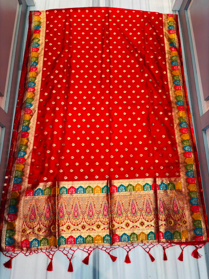 Heartbeat Before Forever-Organza Meenakari Designer Saree