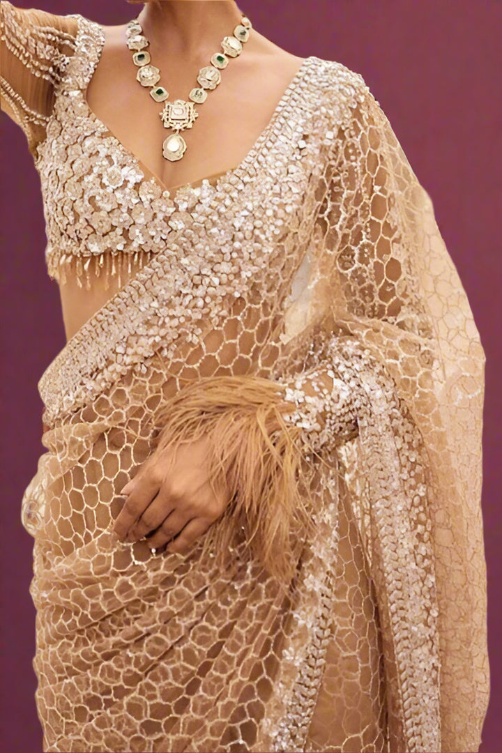 Starry Drape Net Saree