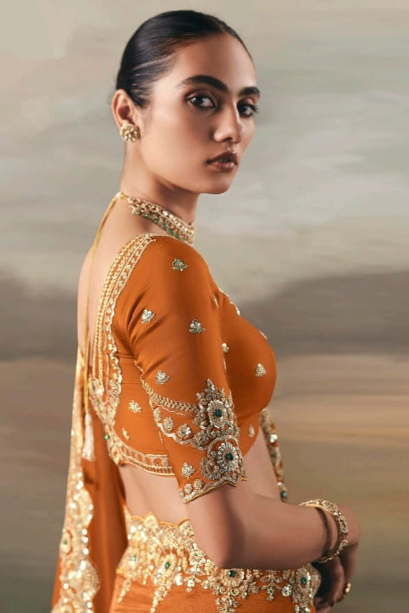 Fairytale in Raindrops Fancy Tissue Silk Saree
