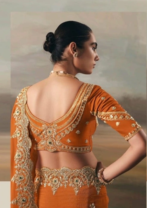 Fairytale in Raindrops Fancy Tissue Silk Saree