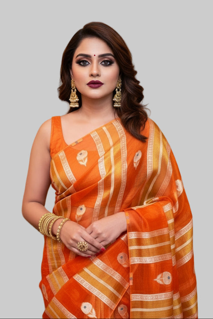 Close To You Banarasi Tissue Silk Saree