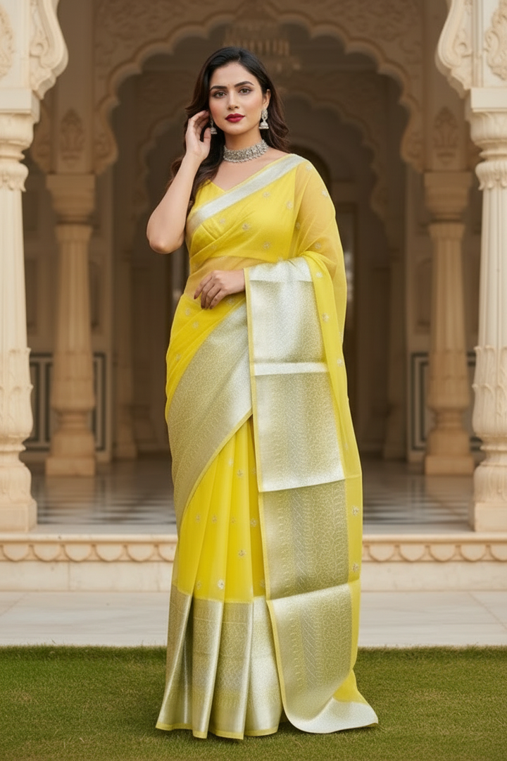 Go-Ahead (Organza  Silk Saree)