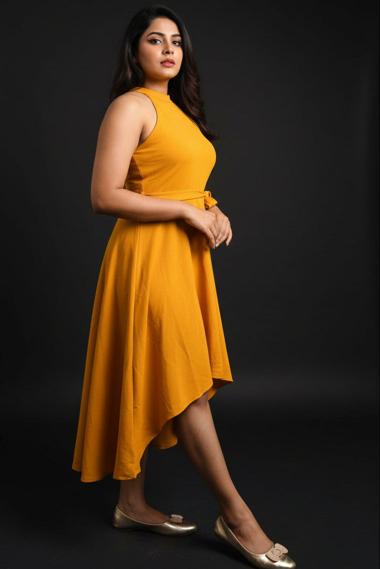 New Cinderella Dress