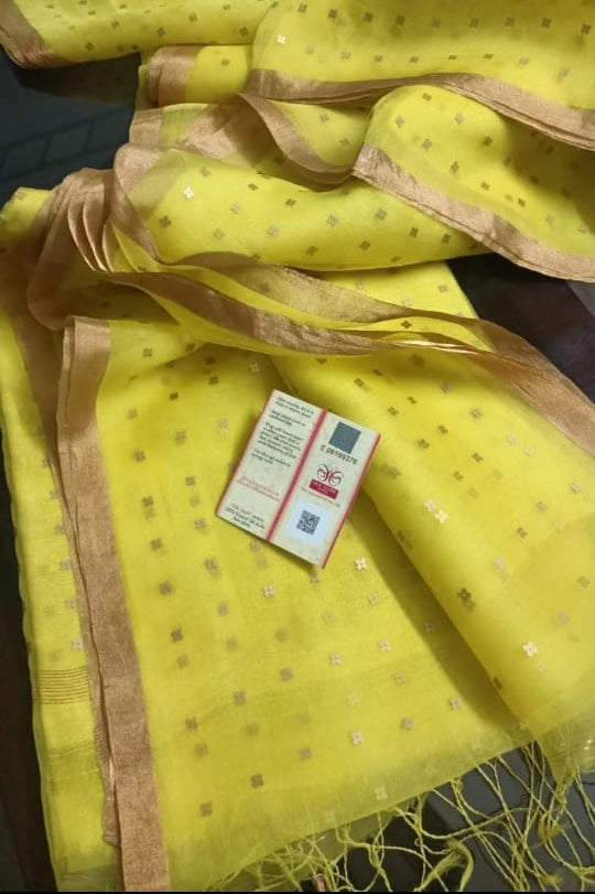 AkashGanga Muslin Resham Saree