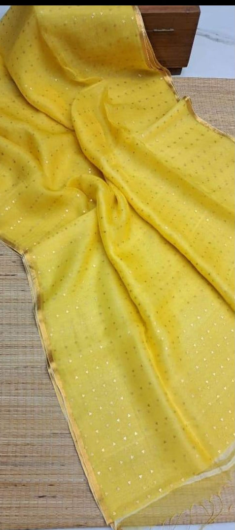 AkashGanga Muslin Resham Saree