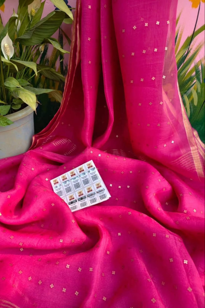 AkashGanga Muslin Resham Saree