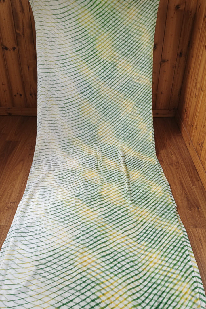 Natures Rhythm Chiffon Saree