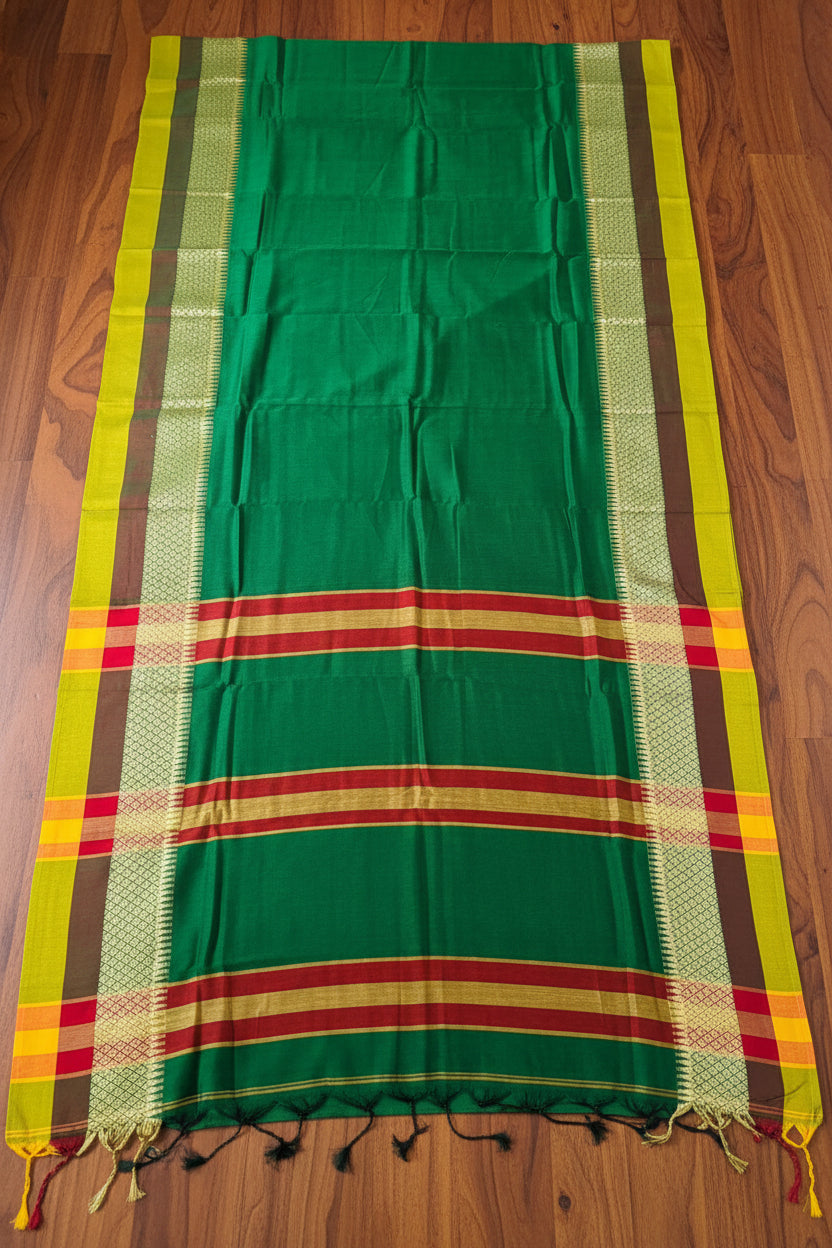 A Real saree Lover- Narayanpet Saree